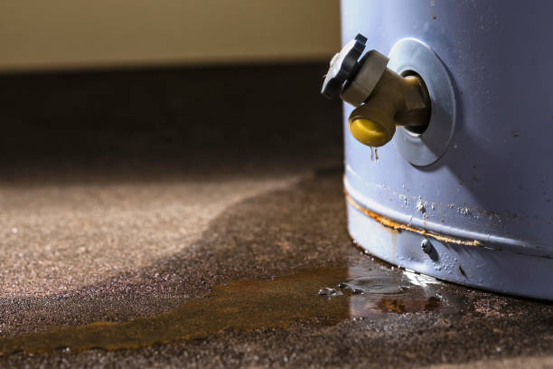 Best Flood restoration services  in Greensboro, AL