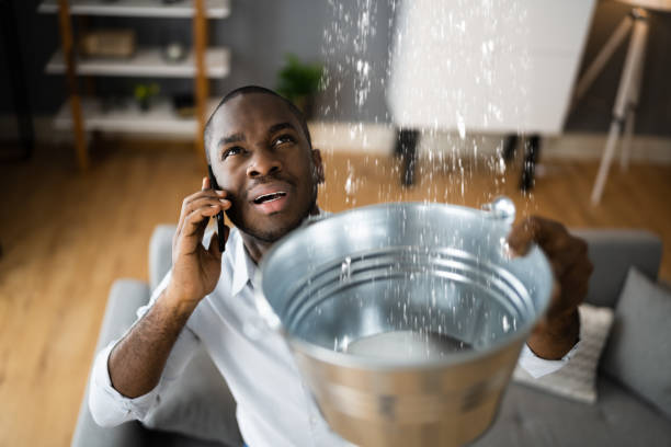 Best Fire Damage Restoration  in Greensboro, AL