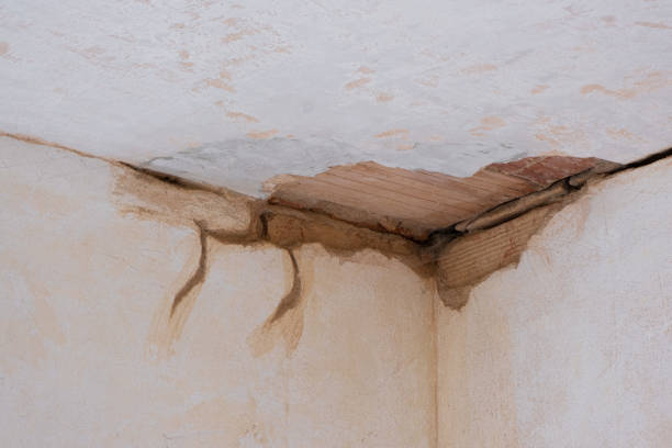Trusted AL Water damage restoration Experts