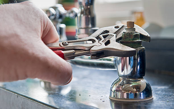 Best Ceiling water damage repair  in Greensboro, AL