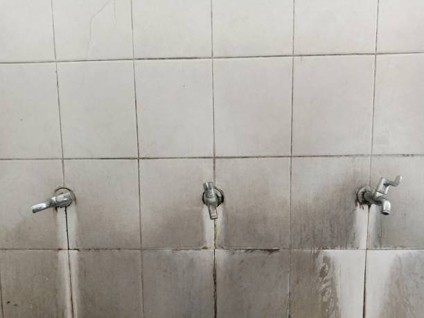 Best Water damage restoration specialists  in Greensboro, AL