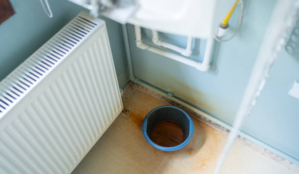 Best Carpet water damage restoration  in Greensboro, AL