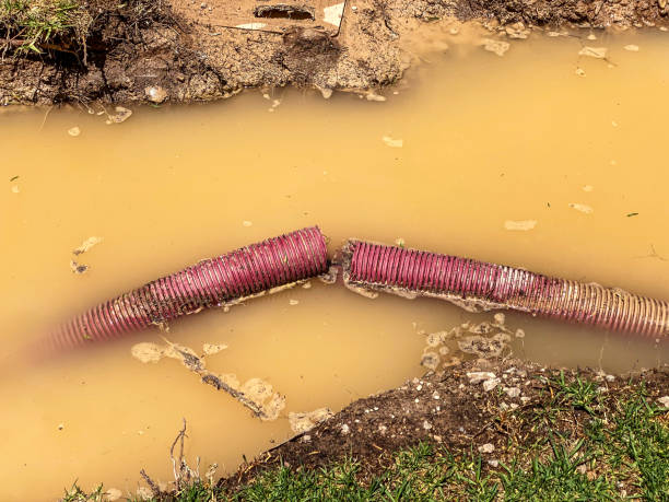 Best Water damage restoration near me  in Greensboro, AL
