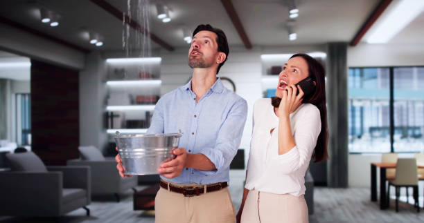 Best Water damage mitigation services  in Greensboro, AL