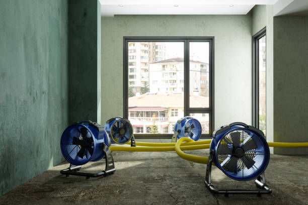 Best Water damage restoration cost  in Greensboro, AL