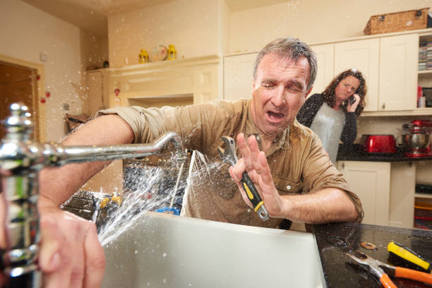 Best Flood damage cleanup  in Greensboro, AL